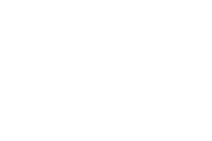 Data443_logo-White-1